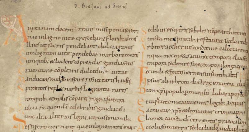 Manuscript image